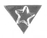 33. Pin personalizado bañado en plata. 
